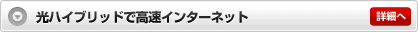 光ハイブリッドで高速インターネット 詳細へ