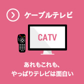 ケーブルテレビ | あれもこれも、やっぱりテレビは面白い