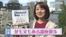 Channel Bay 情報局