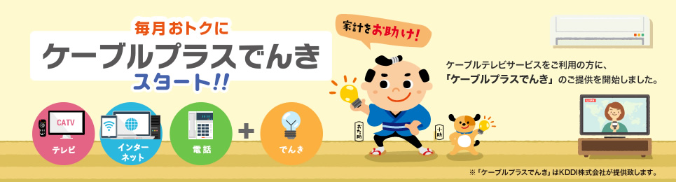 ケーブルプラスでんき