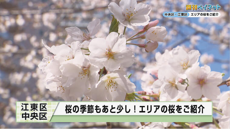 ニュース映像の制作例