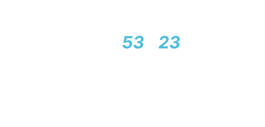 RESULT