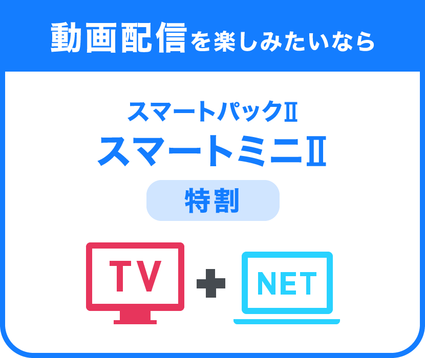 動画配信を楽しみたいならスマートパックⅡ スマートミニⅡ