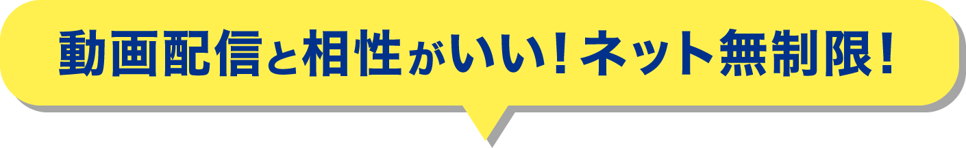 動画配信と相性がいい！ネット無制限！