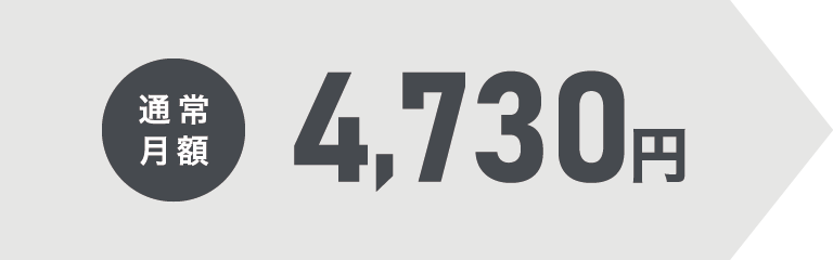 通常月額4,950円