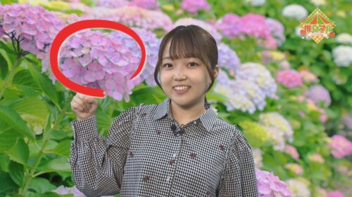 ChannelBay 推しマル 6月号