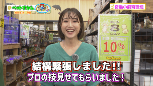 ペットずかん #18 奇蟲（きちゅう）