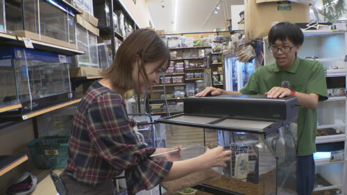 ペットずかん #16 リクガメの飼い方