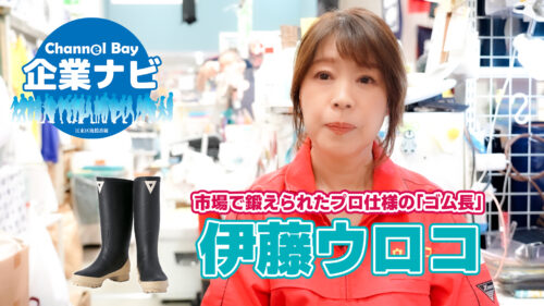 ChannelBay企業ナビ 伊藤ウロコ編