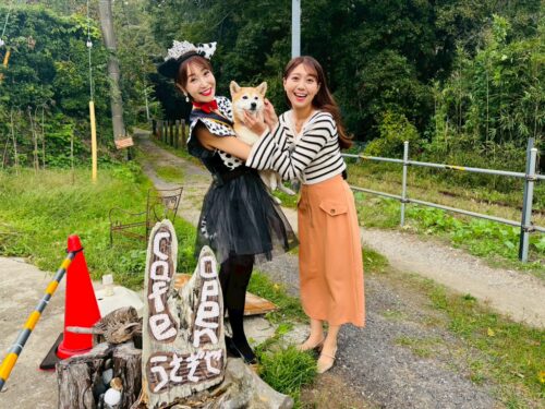 世界一のミセスが行く!市原ぐるめぐり #08 わんちゃんと一緒に食事を楽しもう!