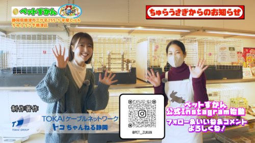 ペットずかん #19 うさぎの飼い方