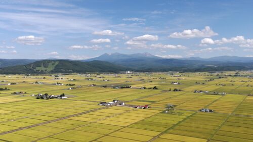 【satonokaセレクト】田舎で暮らそう～移住の先に見えるもの #14 北海道東川より